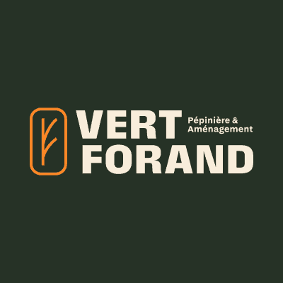 MOSS Realisation Vert Forand_1